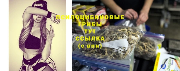 mdpv Иннополис
