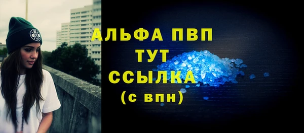 дмт Каменка