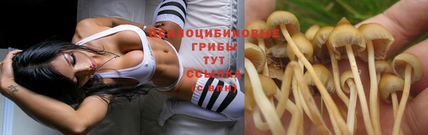 дмт Каменка