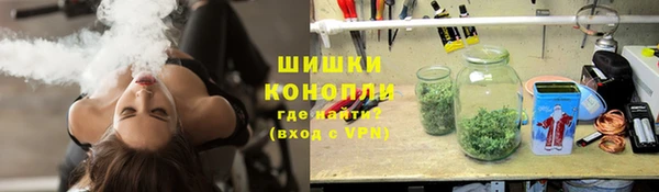 дмт Каменка