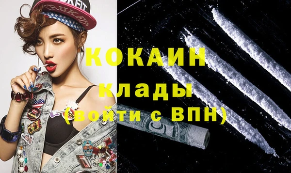 дмт Каменка
