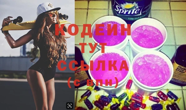 дмт Каменка