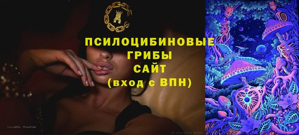 дмт Каменка