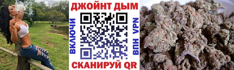 Конопля сатива  Купить где  Гудермес 